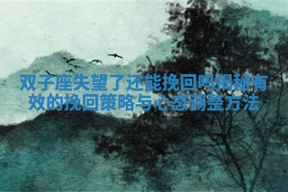 双子座失望了还能挽回吗揭秘有效的挽回策略与心态调整方法