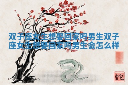 双子座女生想娶回家吗男生 双子座女生想娶回家吗男生会怎么样