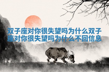 双子座对你很失望吗为什么_双子座对你很失望吗为什么不回信息