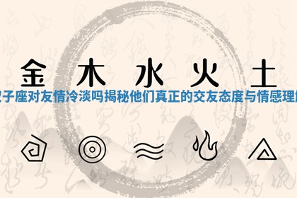双子座对友情冷淡吗揭秘他们真正的交友态度与情感理解