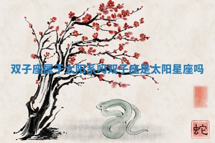 双子座属于太阳系吗 双子座是太阳星座吗