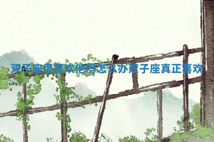 双子座很喜欢他吗怎么办_双子座真正喜欢