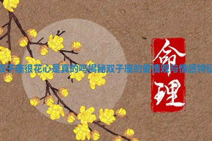 双子座很花心是真的吗揭秘双子座的爱情观与情感特征
