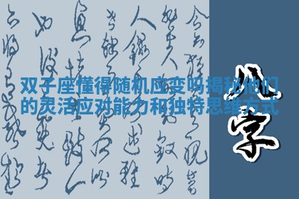 双子座懂得随机应变吗揭秘他们的灵活应对能力和独特思维方式