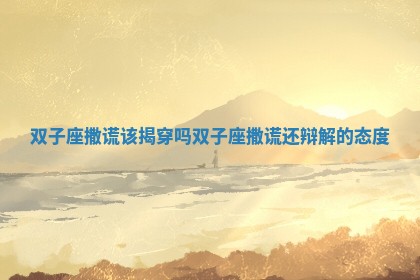 双子座撒谎该揭穿吗_双子座撒谎还辩解的态度