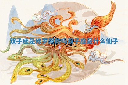 双子座是修罗殿的吗 双子座是什么仙子