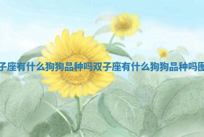 双子座有什么狗狗品种吗 双子座有什么狗狗品种吗图片