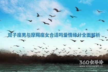 双子座男与摩羯座女合适吗爱情缘分全面解析