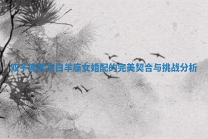 双子座男与白羊座女婚配的完美契合与挑战分析