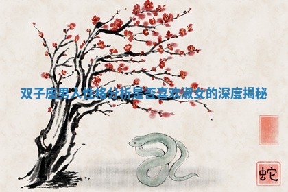 双子座男人性格分析是否喜欢淑女的深度揭秘