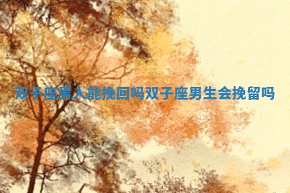 双子座男人能挽回吗 双子座男生会挽留吗