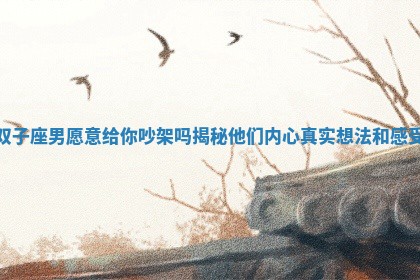 双子座男愿意给你吵架吗揭秘他们内心真实想法和感受 双子座男愿意给你吵架吗揭秘他们内心真实想法和感受