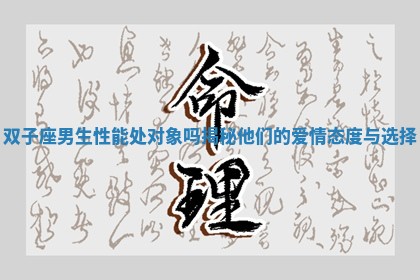 双子座男生性能处对象吗揭秘他们的爱情态度与选择 双子座男生性能处对象吗揭秘他们的爱情态度与选择