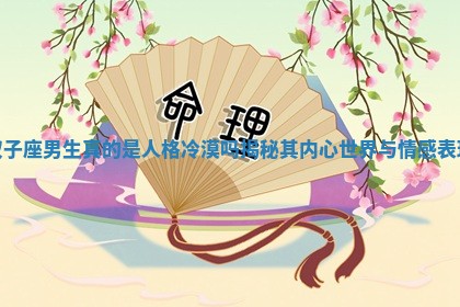 双子座男生真的是人格冷漠吗揭秘其内心世界与情感表现