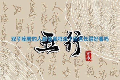 双子座男的人颜值高吗_双子座男长得好看吗