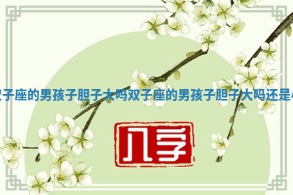 双子座的男孩子胆子大吗_双子座的男孩子胆子大吗还是小