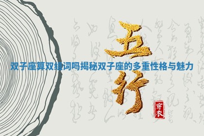 双子座算双组词吗揭秘双子座的多重性格与魅力