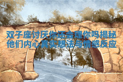 双子座讨厌你还会理你吗揭秘他们内心真实想法与情感反应