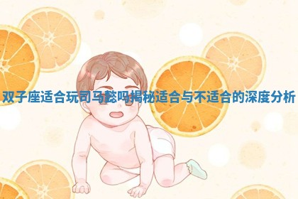 双子座适合玩司马懿吗揭秘适合与不适合的深度分析 双子座适合玩司马懿吗揭秘适合与不适合的深度分析