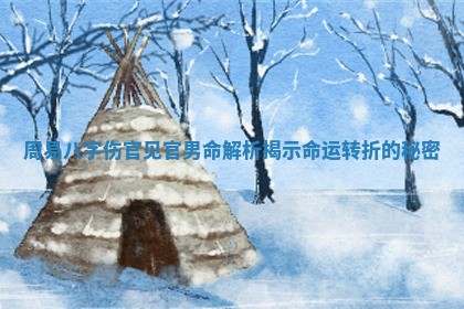 周易八字伤官见官男命解析揭示命运转折的秘密