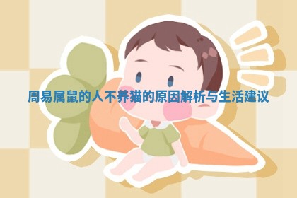 周易属鼠的人不养猫的原因解析与生活建议