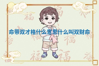 命带双才格什么意思_什么叫双财命