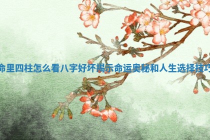 命里四柱怎么看八字好坏揭示命运奥秘和人生选择技巧