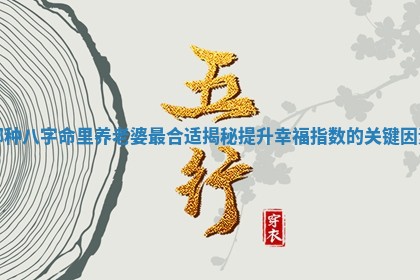 哪种八字命里养老婆最合适揭秘提升幸福指数的关键因素