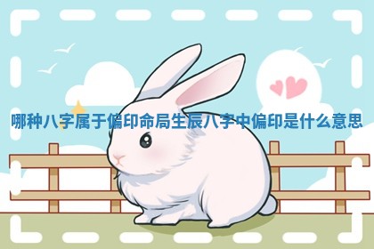 哪种八字属于偏印命局 生辰八字中偏印是什么意思