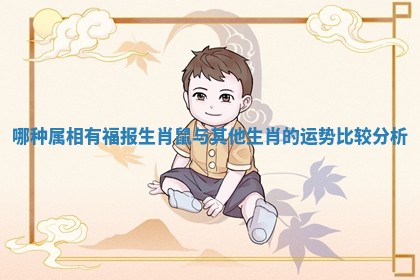 哪种属相有福报生肖鼠与其他生肖的运势比较分析