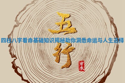 四柱八字看命基础知识揭秘 助你洞悉命运与人生选择