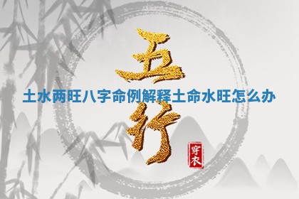 土水两旺八字命例解释_土命水旺怎么办