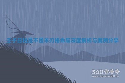 壬子日柱是不是羊刃格命局深度解析与案例分享 壬子日柱是不是羊刃格命局深度解析与案例分享