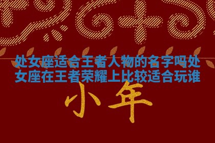 处女座适合王者人物的名字吗_处女座在王者荣耀上比较适合玩谁