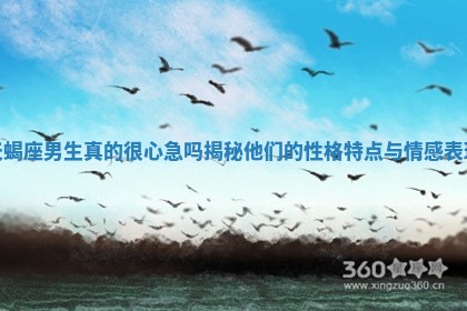 天蝎座男生真的很心急吗揭秘他们的性格特点与情感表现