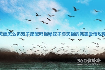 天蝎怎么追双子座配吗揭秘双子与天蝎的完美爱情攻略