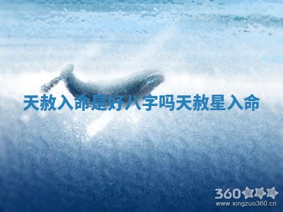 天赦入命是好八字吗_天赦星入命