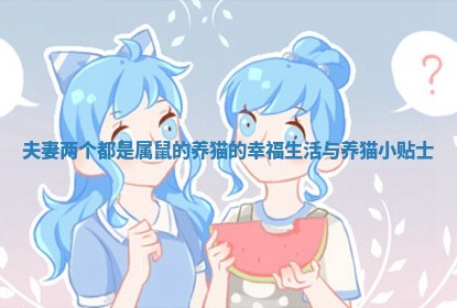 夫妻两个都是属鼠的养猫的幸福生活与养猫小贴士