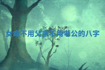 女命不用父亲不用老公的八字_