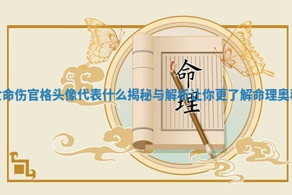 女命伤官格头像代表什么揭秘与解析让你更了解命理奥秘