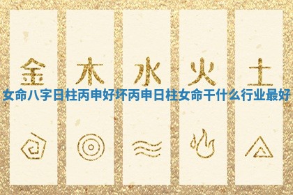 女命八字日柱丙申好坏_丙申日柱女命干什么行业最好