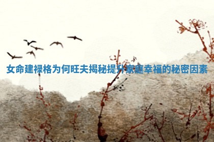 女命建禄格为何旺夫揭秘提升家庭幸福的秘密因素