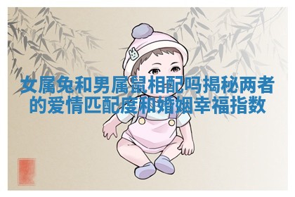 女属兔和男属鼠相配吗揭秘两者的爱情匹配度和婚姻幸福指数