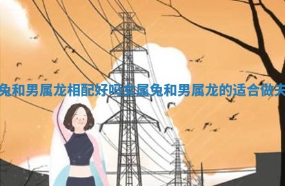 女属兔和男属龙相配好吗 女属兔和男属龙的适合做夫妻吗