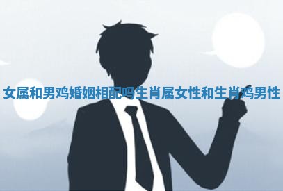 女属和男鸡婚姻相配吗 生肖属女性和生肖鸡男性