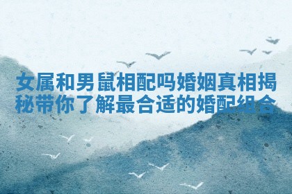 女属和男鼠相配吗婚姻真相揭秘带你了解最合适的婚配组合