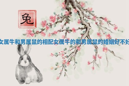 女属牛和男属鼠的相配_女属牛的和男属鼠的婚姻好不好 女属牛和男属鼠的相配_女属牛的和男属鼠的婚姻好不好