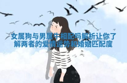 女属狗与男属牛相配吗解析让你了解两者的爱情运势和婚姻匹配度