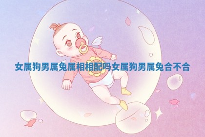 女属狗男属兔属相相配吗 女属狗男属兔合不合