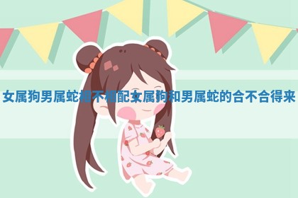 女属狗男属蛇相不相配_女属狗和男属蛇的合不合得来